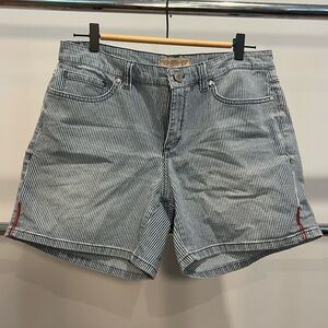 American Eagle Outfitters Blue and White Striped Shorts